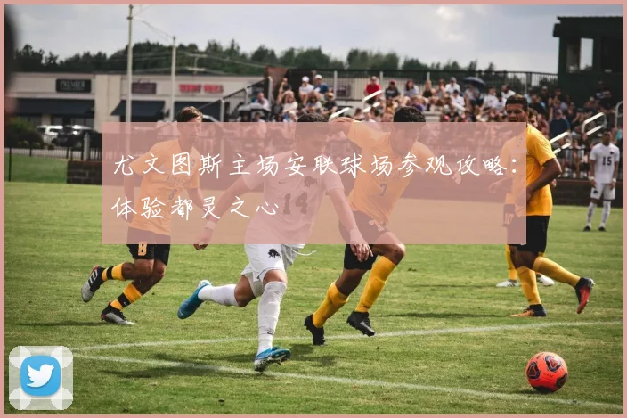 尤文图斯主场安联球场参观攻略：体验都灵之心
